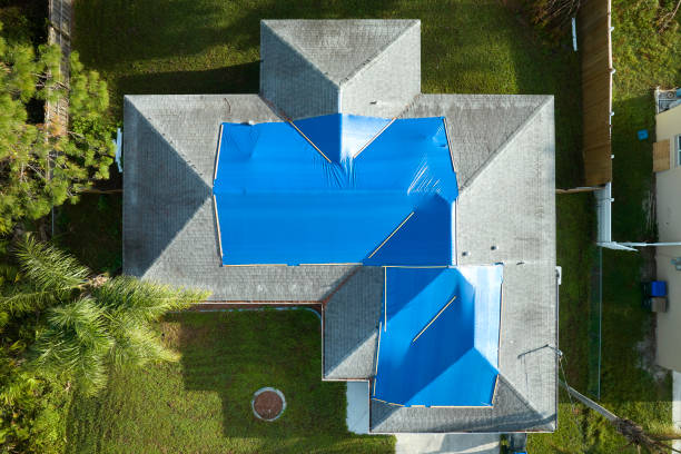 Best Roof Ventilation Installation  in Moorhead, MN