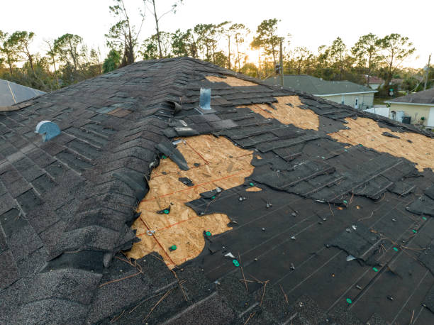 Best Wood Shake Roofing  in Moorhead, MN